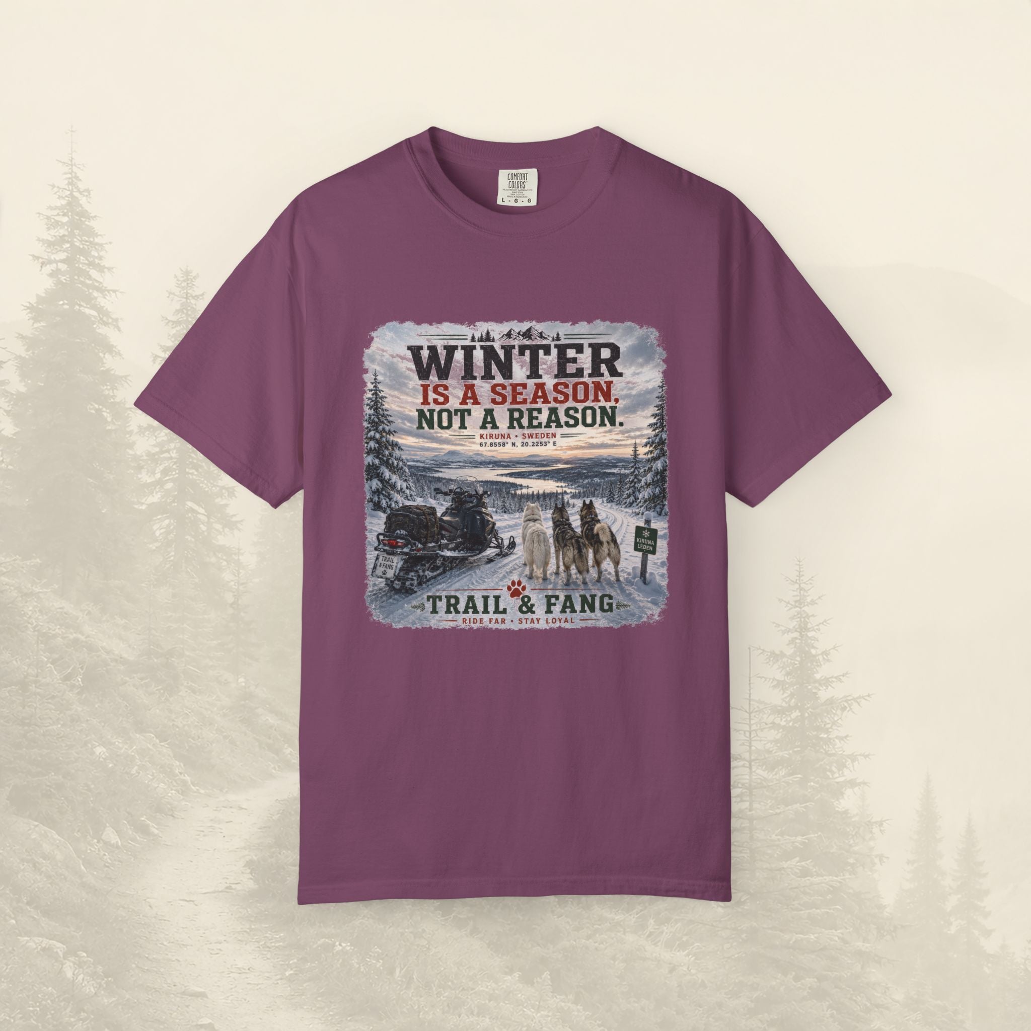 L'hiver est une saison, pas une raison - Tee-shirt