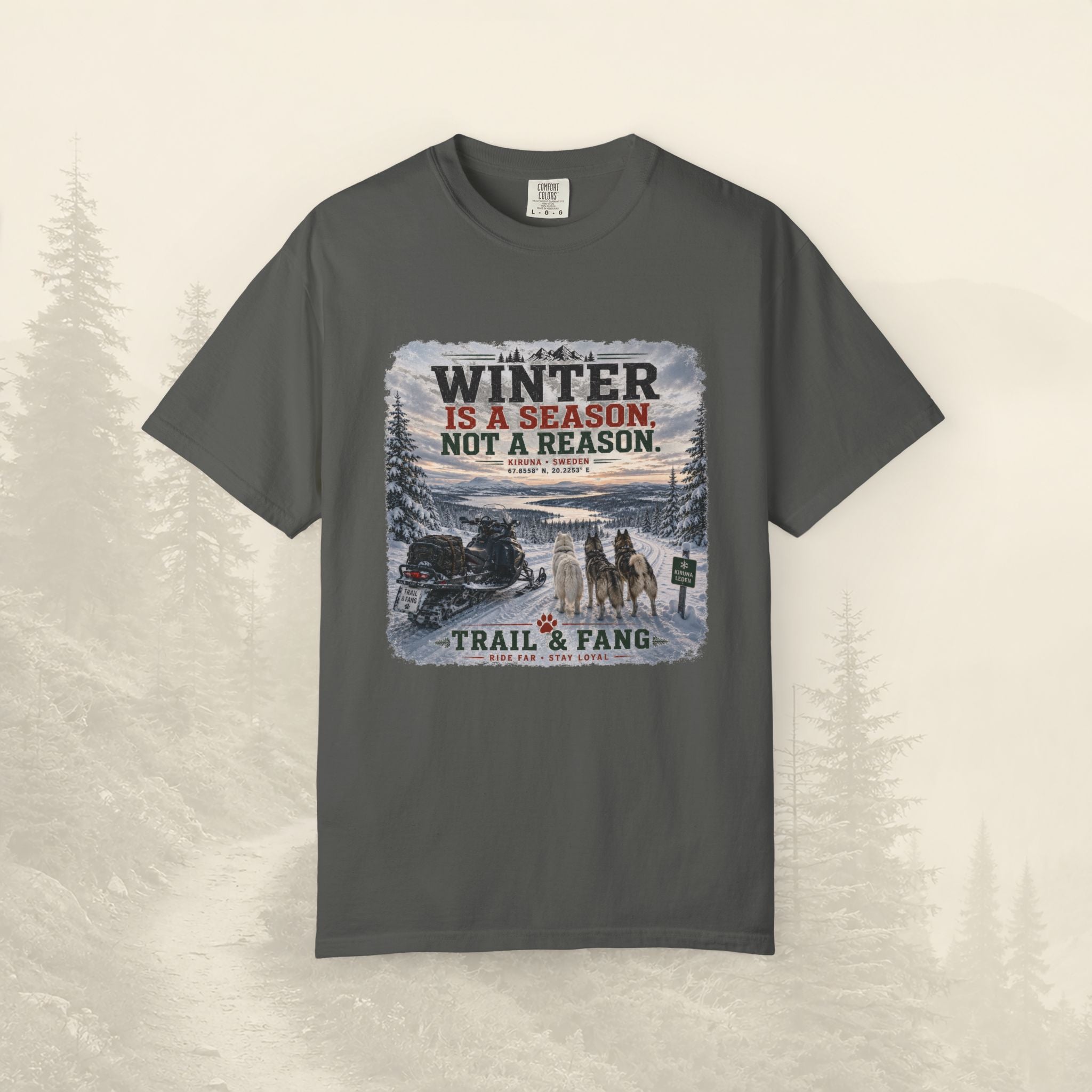 L'hiver est une saison, pas une raison - Tee-shirt