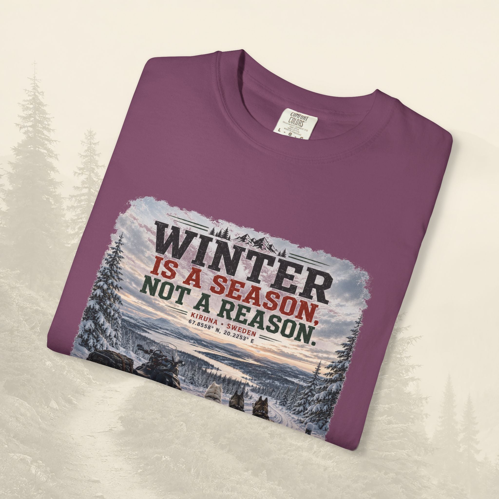 L'hiver est une saison, pas une raison - Tee-shirt
